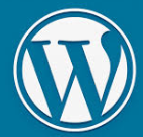 wordpress skill